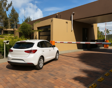 portfolio image template